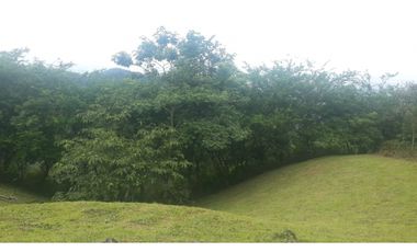 VENDO TERRENO CERRADO EN CERRO AZUL $126000!!!!