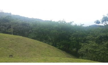 VENDO TERRENO CERRADO EN CERRO AZUL $126000!!!!