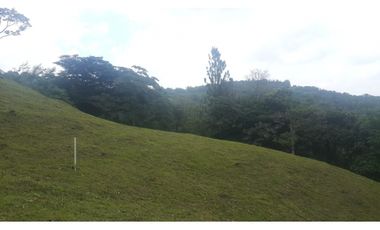 VENDO TERRENO CERRADO EN CERRO AZUL $126000!!!!