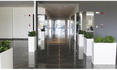 ALQUILER OFICINA 151M2 EN SANTA MARA BUSINESS DISTRICT PH ARIFA KAF