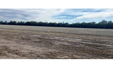 Campo 12 ha 8862 m2 Zona Villa Esquiu - a minutos de Circunvalacion