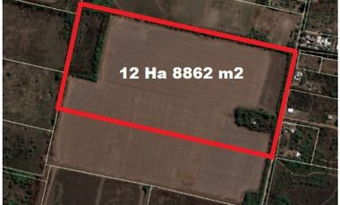 Campo 12 ha 8862 m2 Zona Villa Esquiu - a minutos de Circunvalacion