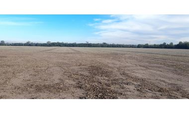 Campo 12 ha 8862 m2 Zona Villa Esquiu - a minutos de Circunvalacion