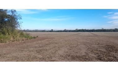 Campo 12 ha 8862 m2 Zona Villa Esquiu - a minutos de Circunvalacion