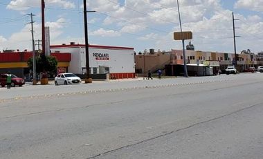 SE RENTA TERRENO  COL. LAS DALIAS, TORREÓN COAH.