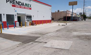 SE RENTA TERRENO  COL. LAS DALIAS, TORREÓN COAH.