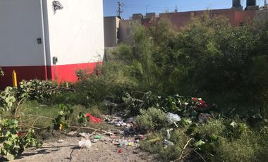 SE RENTA TERRENO  COL. LAS DALIAS, TORREÓN COAH.