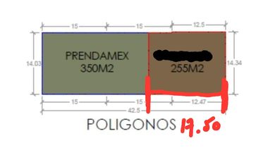SE RENTA TERRENO  COL. LAS DALIAS, TORREÓN COAH.