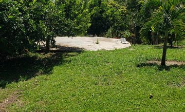 CASA CAMPESTRE en VENTA en Bochalema Bochalema