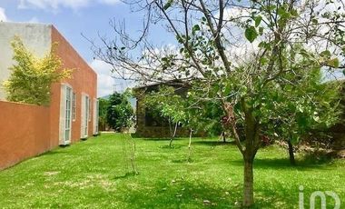 Hermosa Casa Campestre en Malinalco – Alberca, 6000 m² de Terreno y Árboles Frutales