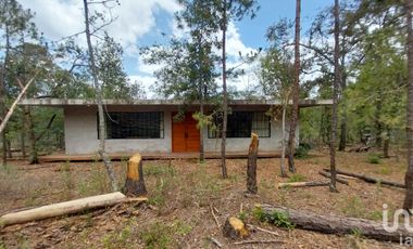 Se vende Casa en el bosque en el pueblo Mágico de Huasca de Ocampo, Hidalgo