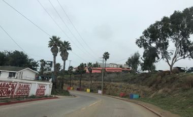 RENTA DEPARTAMENTO INDEPENDIENTE EN EL CENTRO DE PLAYAS DE ROSARITO