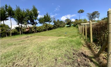 Venta Lote 100% Plano Independiente Via La Ceja La Union