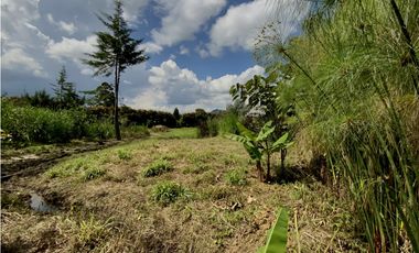 Venta Lote 100% Plano Independiente Via La Ceja La Union