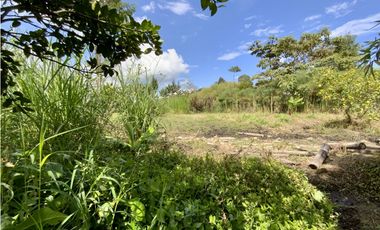 Venta Lote 100% Plano Independiente Via La Ceja La Union