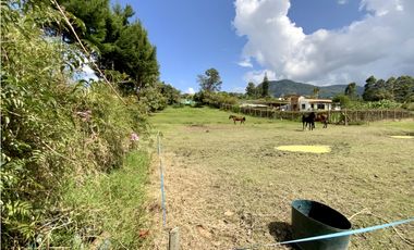 Venta Lote 100% Plano Independiente Via La Ceja La Union