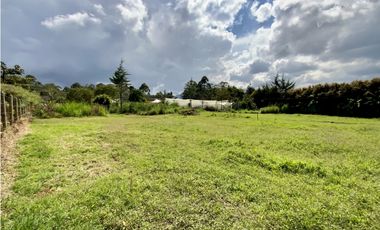 Venta Lote 100% Plano Independiente Via La Ceja La Union