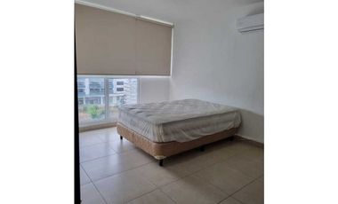 ALQUILER Y VENTA DE APARTAMENTO CONDADO PH KINGS PARK DISPONI 1/01/ 25