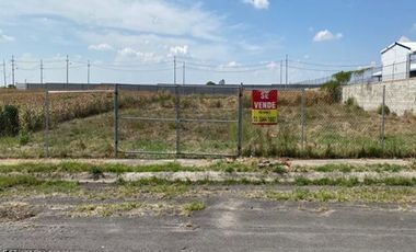 LOTES EN VENTA #8 Y #9 EN ZAPOTLANEJO