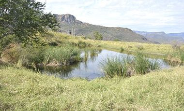 RANCHO EN VENTA CARRETERA SAN CRISTOBAL DE LA BARR