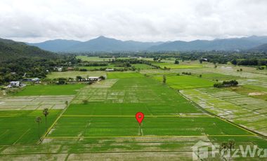 Land for sale in Rong Wua Daeng, Chiang Mai