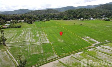 Land for sale in Rong Wua Daeng, Chiang Mai