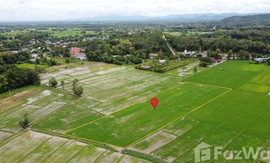 Land for sale in Rong Wua Daeng, Chiang Mai
