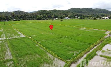 Land for sale in Rong Wua Daeng, Chiang Mai