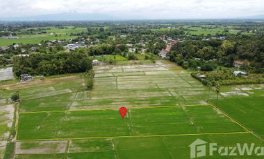 Land for sale in Rong Wua Daeng, Chiang Mai