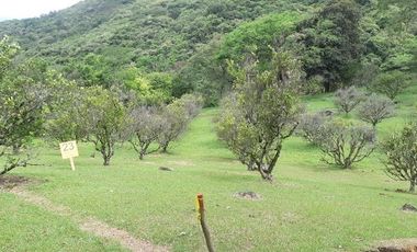 VENTA de LOTES en SAN JERONIMO