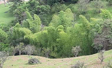 VENTA de LOTES en SAN JERONIMO