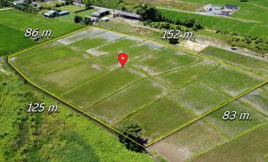 Land for sale in Sai Mun, Chiang Mai