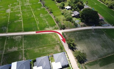 Land for sale in Sai Mun, Chiang Mai