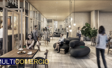 Locales Comerciales Plaza Aunna PB