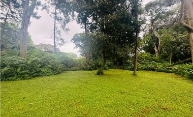 Venta de terreno en Av. Belisario Porras, David, Chiriquí.