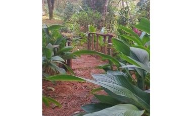 ALQUILER DE CASA EN LA MONTAÑA  ALTOS DEL MARIA