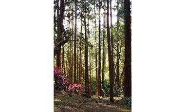 ALQUILER DE CASA EN LA MONTAÑA  ALTOS DEL MARIA