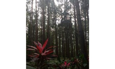 ALQUILER DE CASA EN LA MONTAÑA  ALTOS DEL MARIA