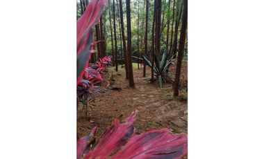 ALQUILER DE CASA EN LA MONTAÑA  ALTOS DEL MARIA