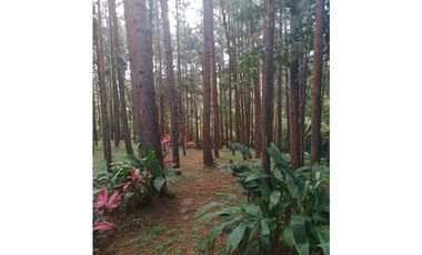 ALQUILER DE CASA EN LA MONTAÑA  ALTOS DEL MARIA