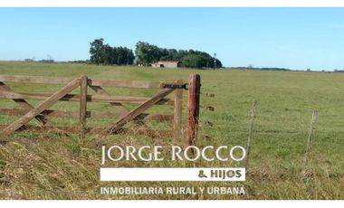 Campo en venta en Chascomus - Ranchos. 150 Has. ganaderas
