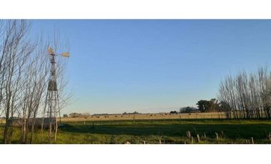 Campo en venta en Chascomus - Ranchos. 150 Has. ganaderas