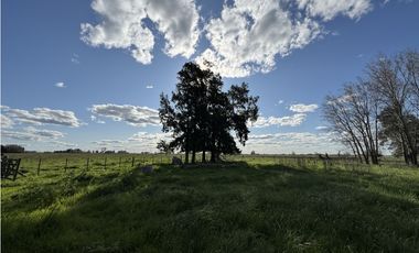 Campo en venta en Chascomus - Ranchos. 150 Has. ganaderas