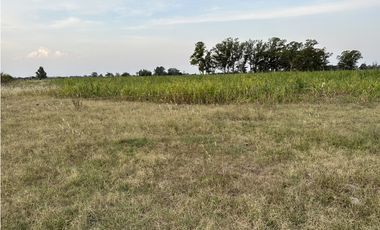 Campo en venta en Ranchos. 22 Has mixto