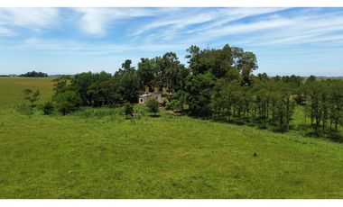 Campo en venta en Chascomnus - Ranchos. 195 Has. ganaderas