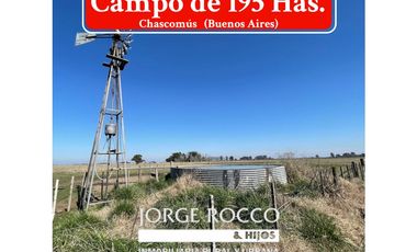 Campo en venta en Ranchos. 195 Has. ganaderas