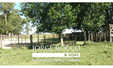 Campo en venta en Ranchos. 195 Has. ganaderas