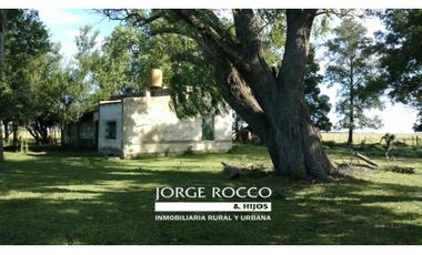 Campo en venta en Ranchos. 195 Has. ganaderas