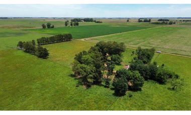 Campo en venta en Chascomnus - Ranchos. 195 Has. ganaderas