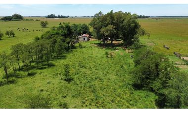 Campo en venta en Chascomnus - Ranchos. 195 Has. ganaderas